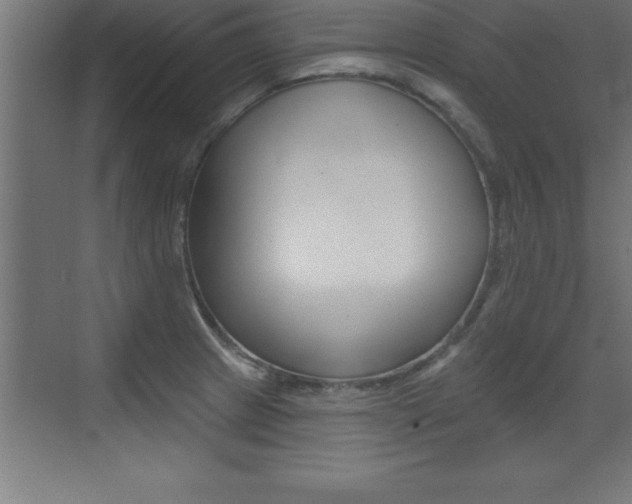 X0000072921233200607210858