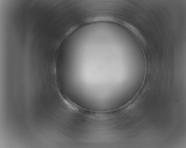 X0000072921241200607210858