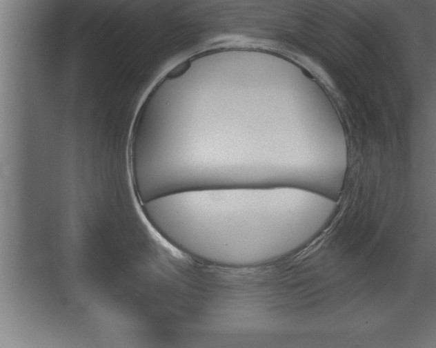 X0000072921247200607210858