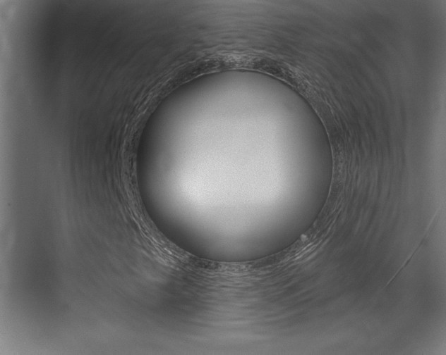 X0000072921249200607210857