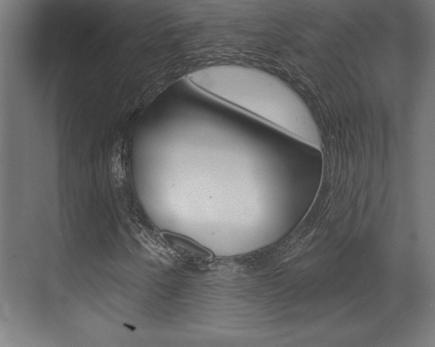 X0000072921250200607210857