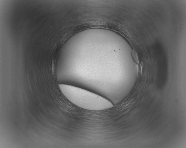 X0000072921251200607210857