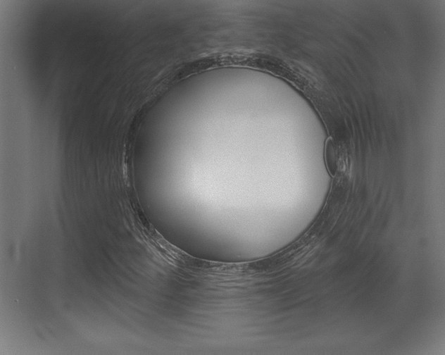 X0000072921252200607210857