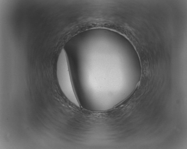 X0000072921253200607210857