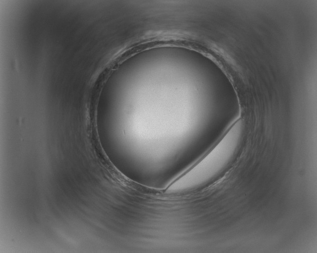 X0000072921261200607210857