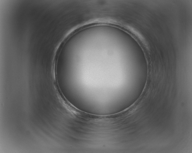 X0000072921272200607210857