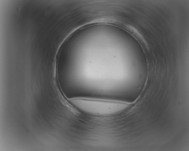 X0000072921276200607210857