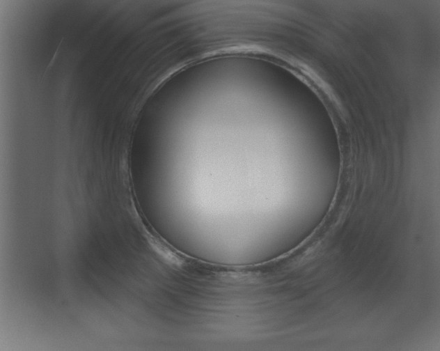 X0000072921281200607210857