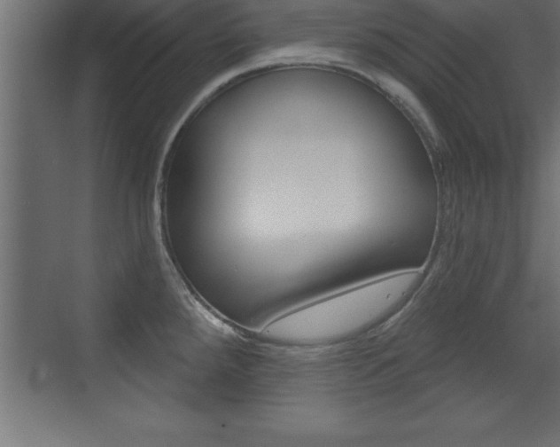 X0000072921288200607210856