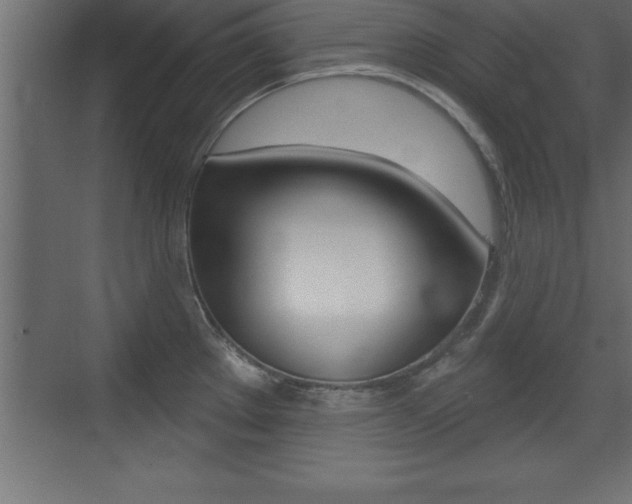 X0000072921289200607210856