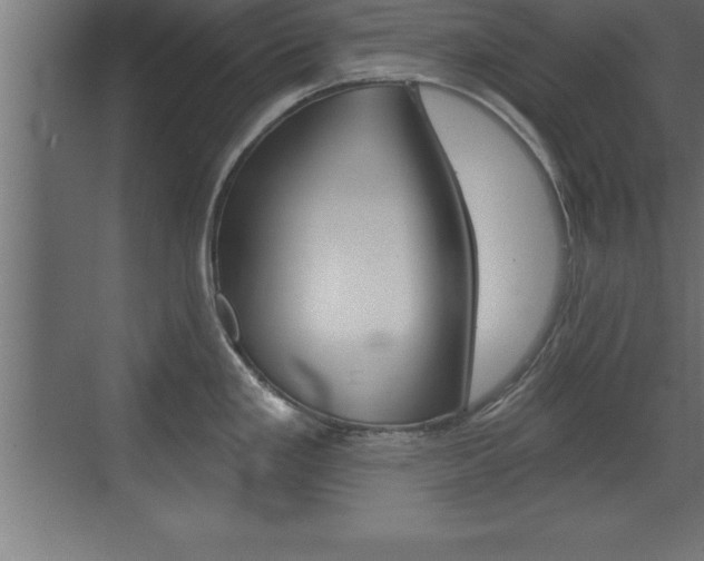 X0000072921293200607210856