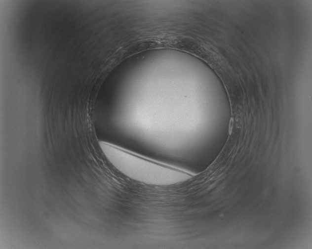 X0000072921298200607210856