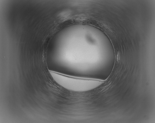 X0000072921299200607210856