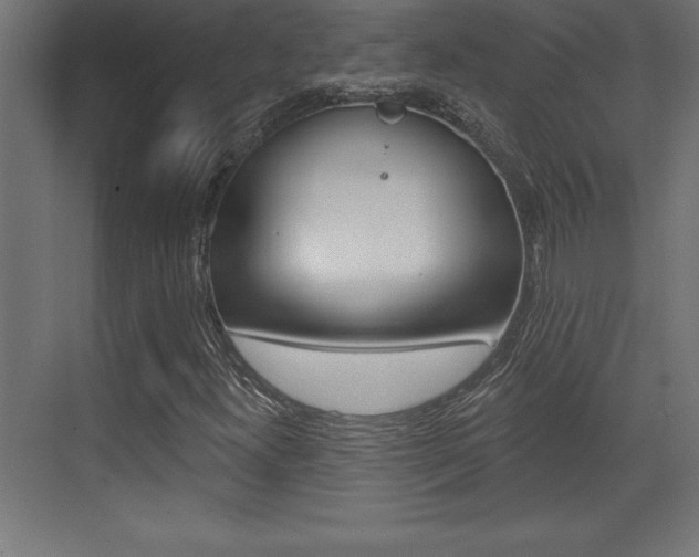 X0000072921300200607210856