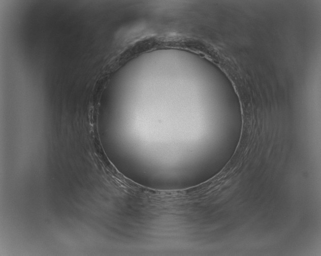 X0000072921301200607210856
