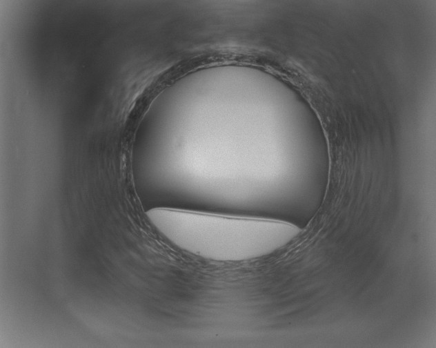 X0000072921302200607210856