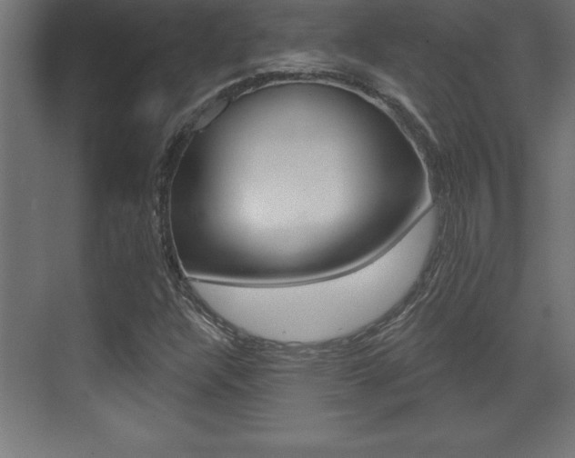 X0000072921304200607210856