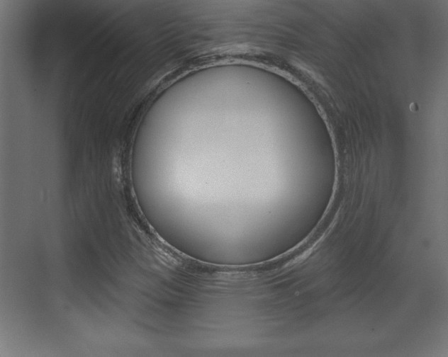 X0000072921305200607210856