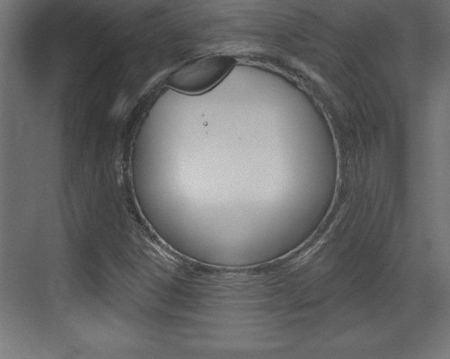 X0000072921306200607210856