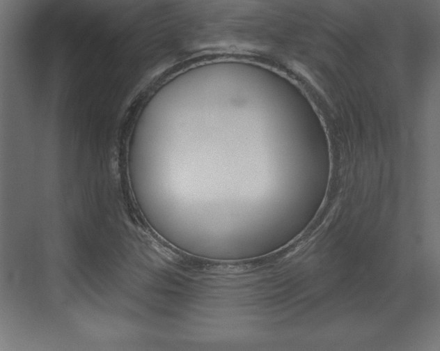 X0000072921307200607210856