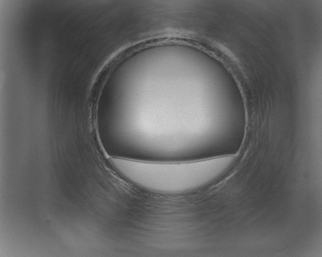 X0000072921310200607210856