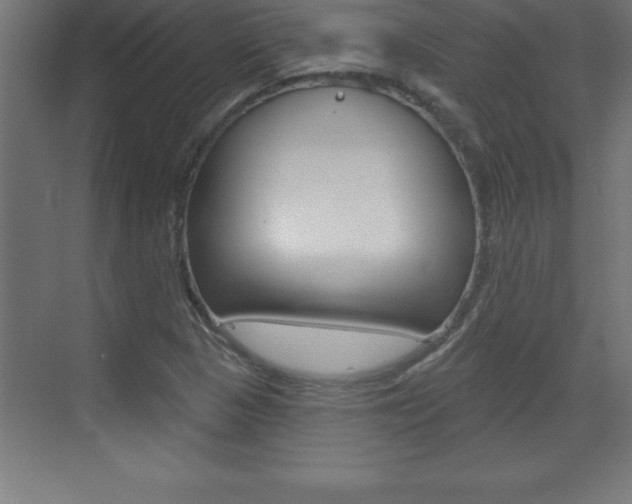 X0000072921313200607210856