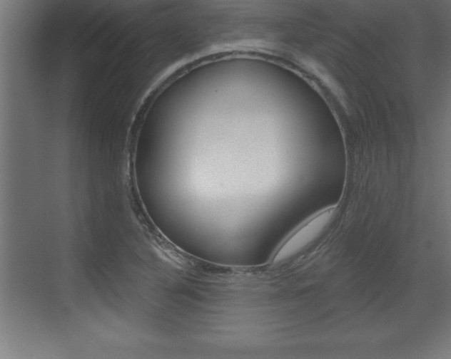 X0000072921316200607210856