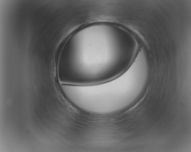 X0000072921317200607210856