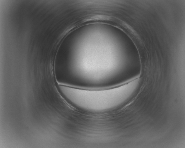 X0000072921321200607210856