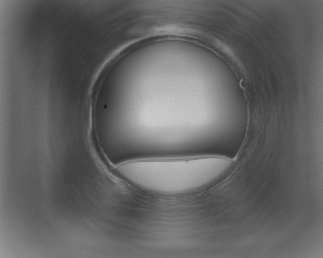 X0000072921323200607210856