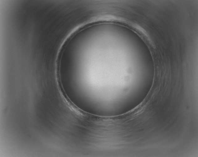 X0000072921326200607210856