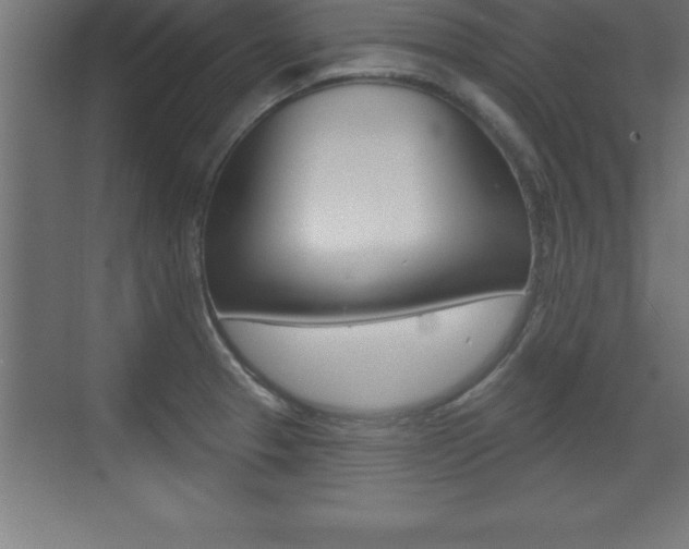 X0000072921329200607210856