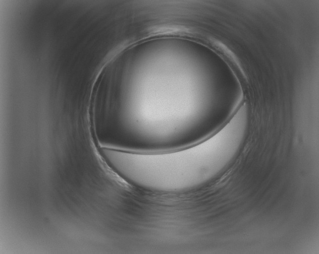 X0000072921330200607210856