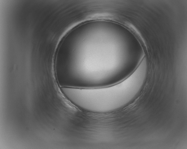 X0000072921336200607210856