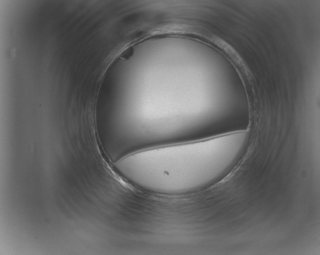 X0000072921337200607210856