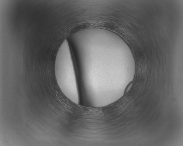 X0000072921346200607210856