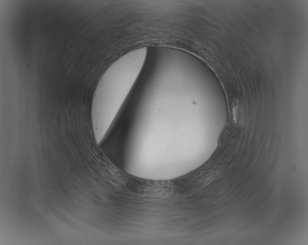 X0000072921347200607210855