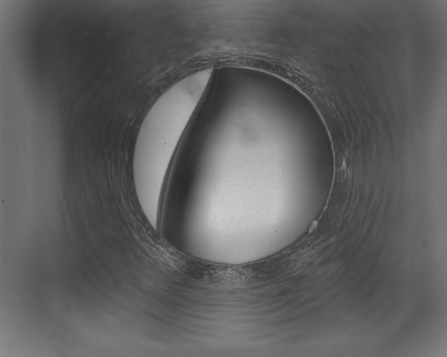 X0000072921348200607210855