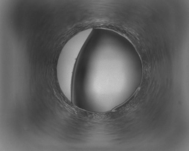 X0000072921349200607210855