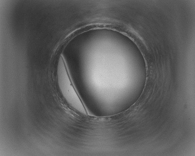X0000072921352200607210855