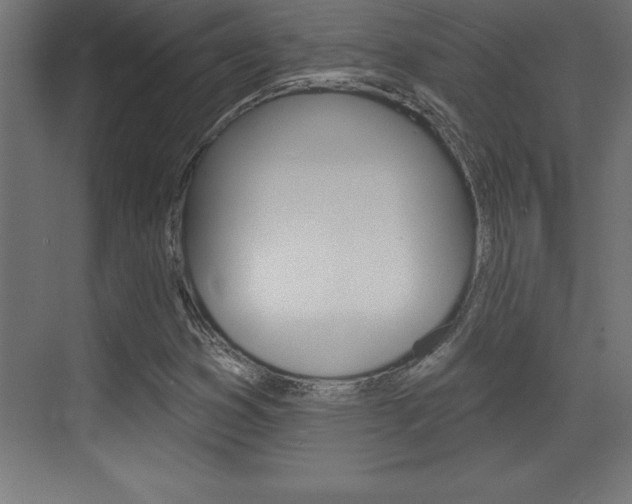 X0000072921353200607210855