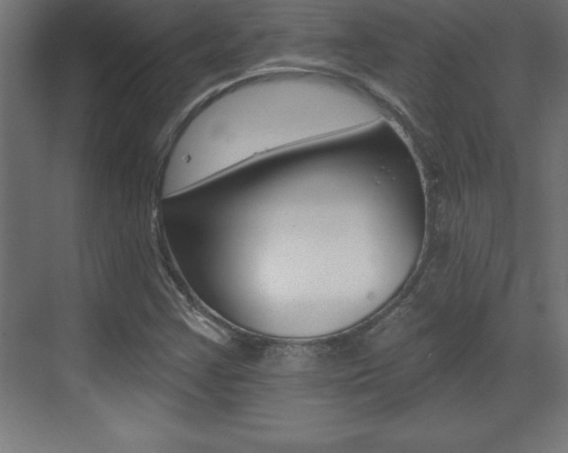 X0000072921355200607210855