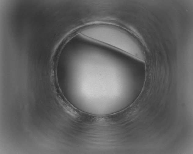 X0000072921360200607210855