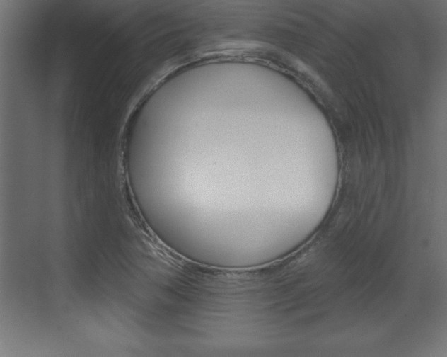 X0000072921362200607210855