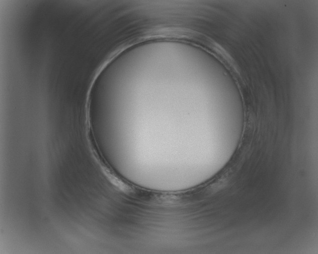 X0000072921370200607210855