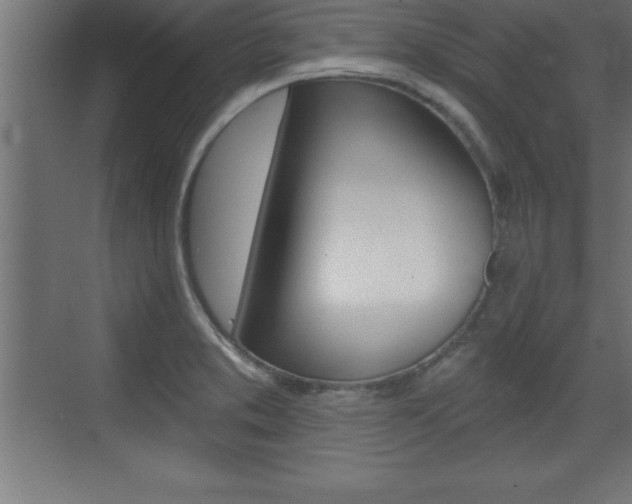 X0000072921373200607210855