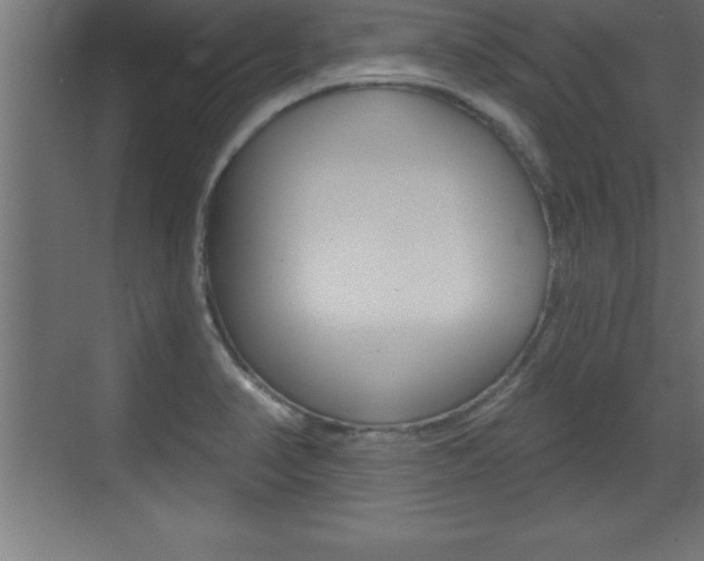 X0000072921374200607210855