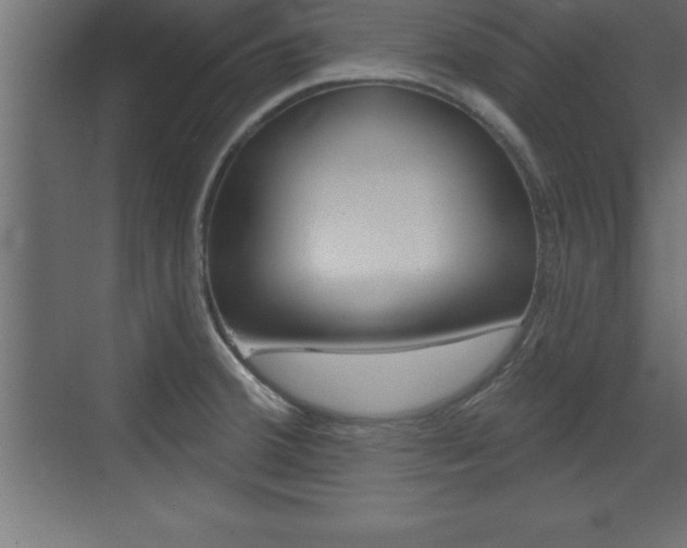 X0000072921380200607210855