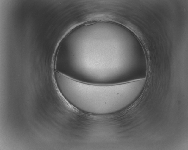 X0000072921392200607210855