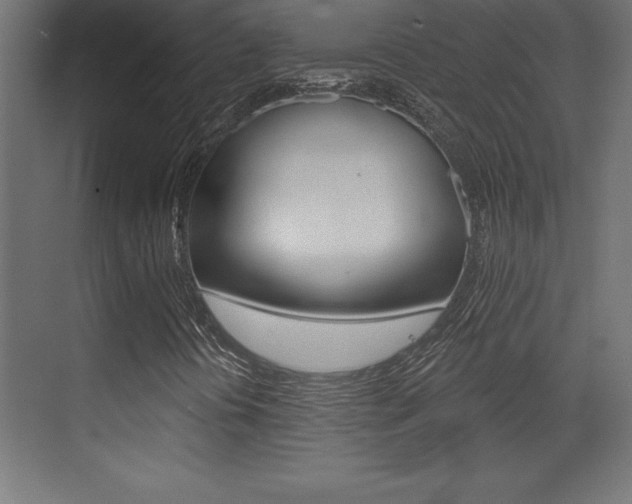 X0000072921394200607210854